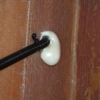 Image for 